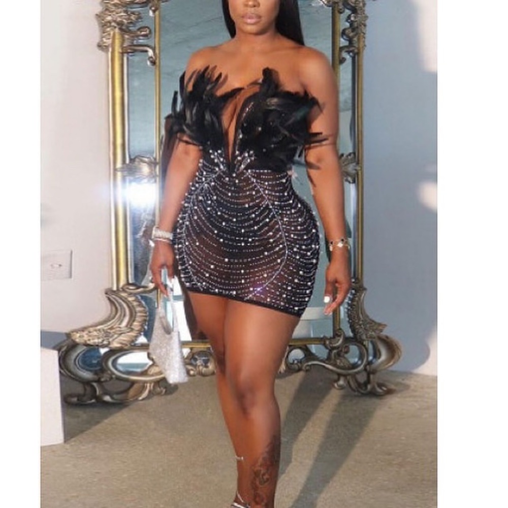Feather Top Mesh Beaded Dress